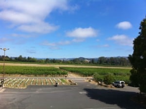 Photo of Trefethen Family Winery